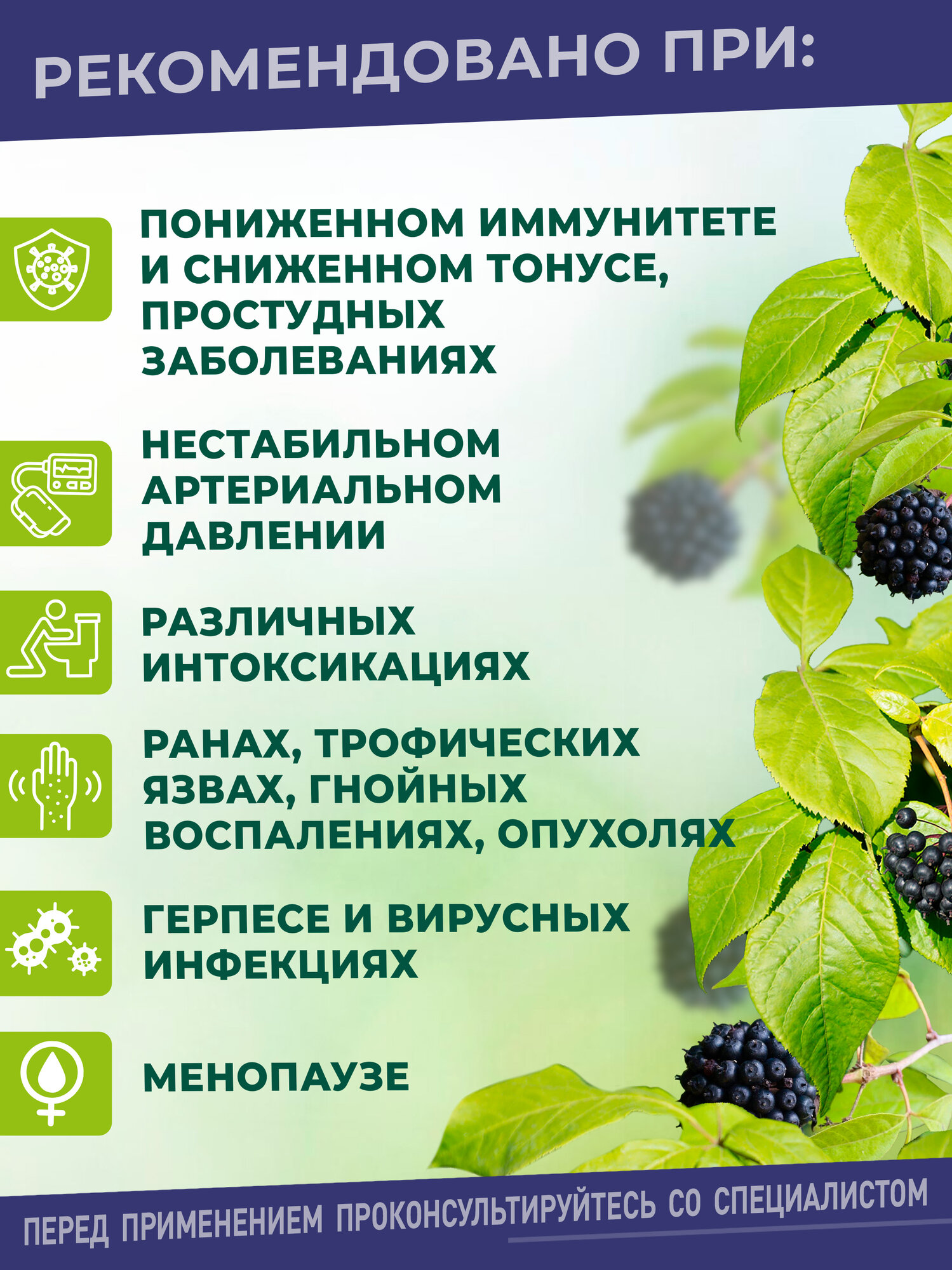 Картинки Элеутерококк экстракт Безалкогольный для иммунитета - натуральный адаптоген для мужчин и женщин, 200 мл