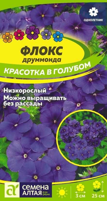 Флокс Красотка в голубом Друммонда/Сем Алт/01г