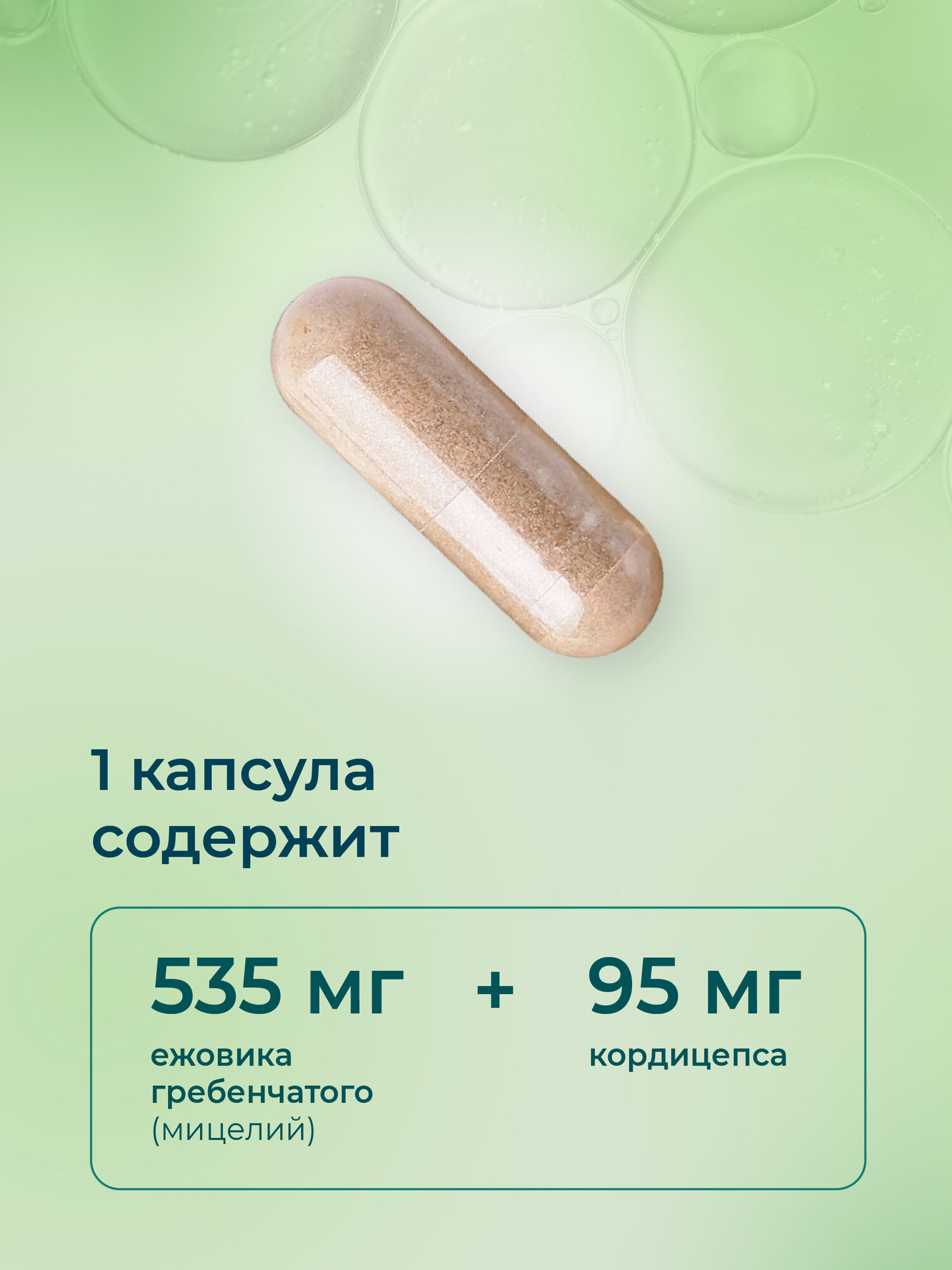 Ежовик гребенчатый мицелий и кордицепс LEAFTOGO, 120 капсул — фото 1