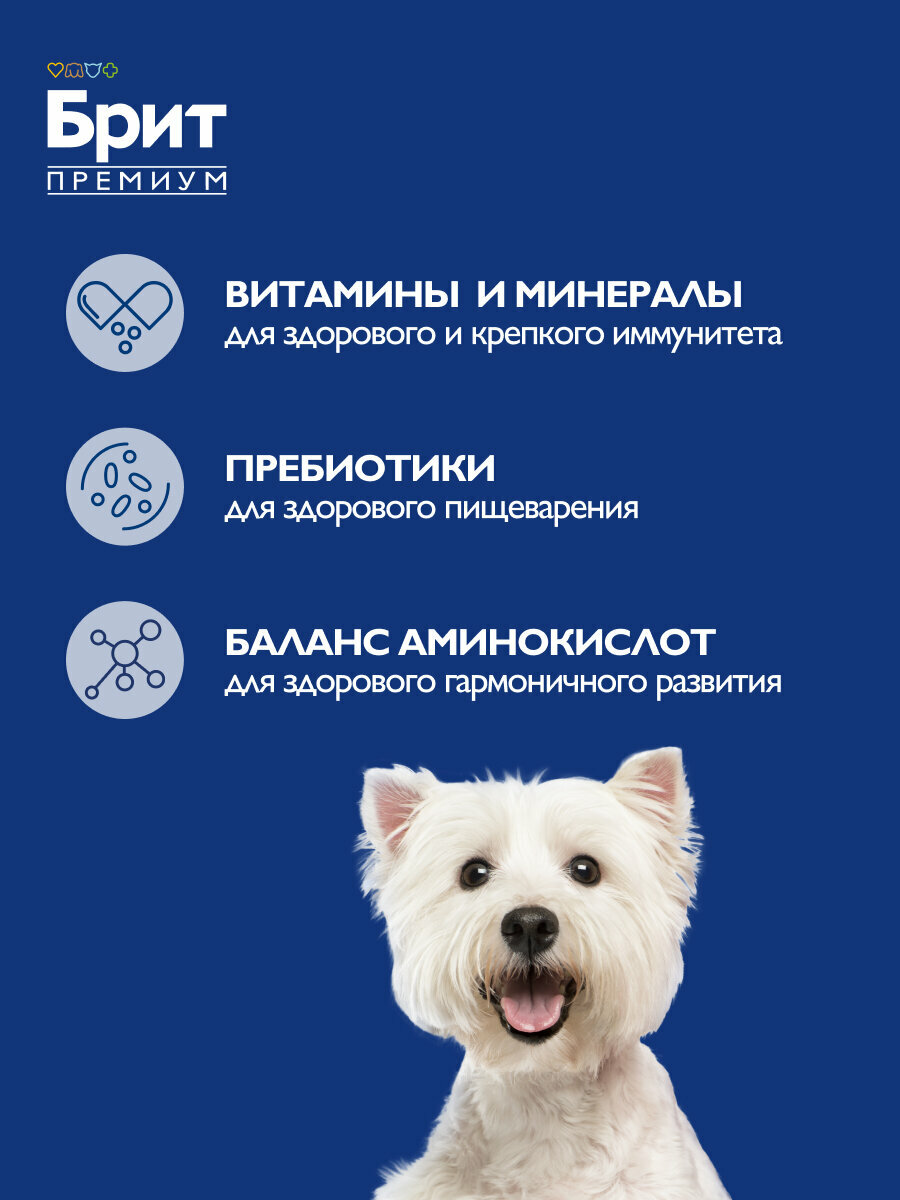 Сухой корм для щенков мелких пород с курицей "Dog Puppy and Junior Small", 3кг BRIT PREMIUM — фото 1