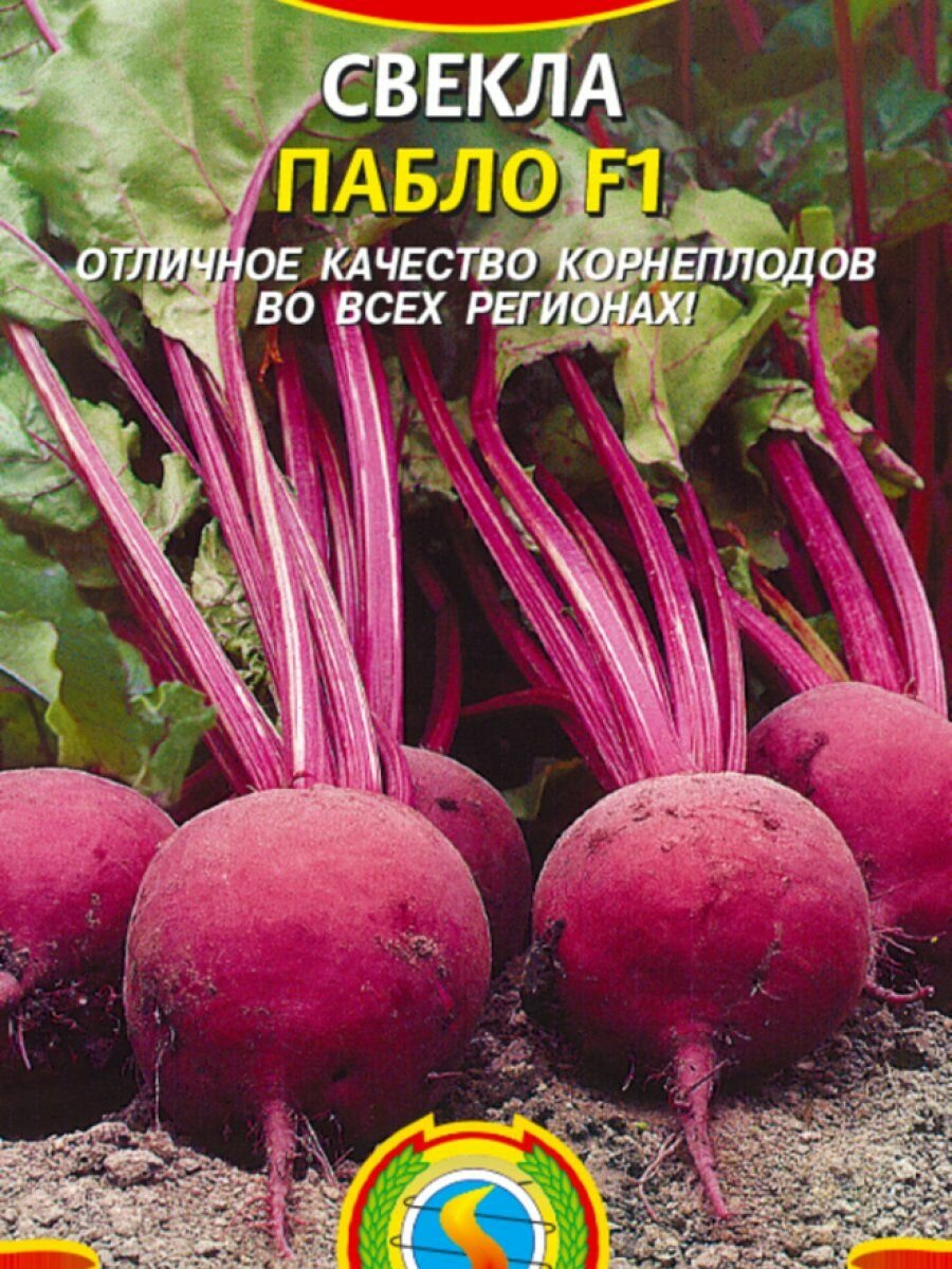 Свекла Пабло F1 75 шт Плазменные семена