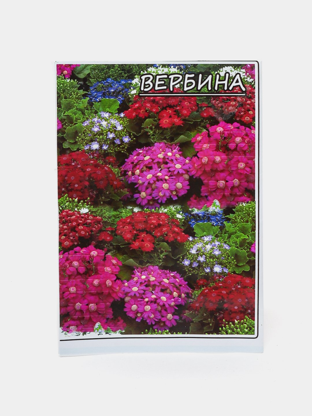 Семена цветов Ромашка, Гвоздика, Вербина, Астра, Арча гул, цветы однолетники
