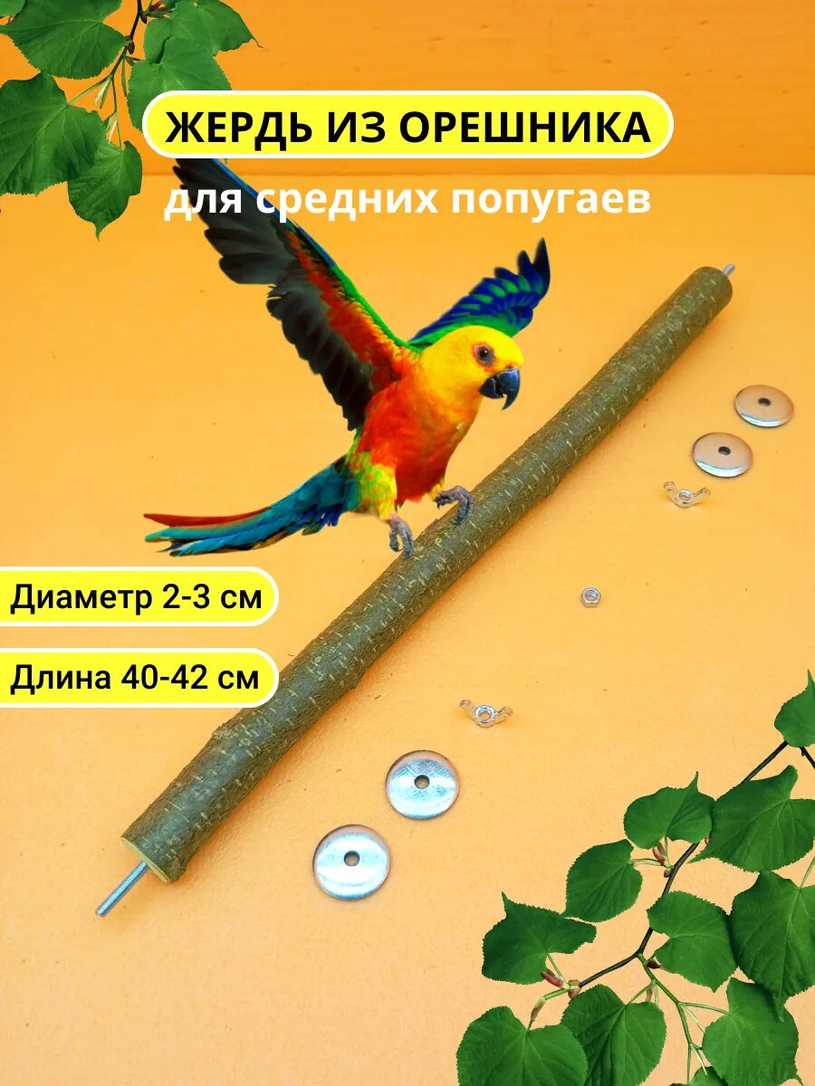 Жердочка для средних попугаев и птиц D2-3 L40-42