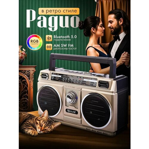 Радиоприемник BENEF RX-750 ретро-стиль цифровой 20 Вт USB 2550₽