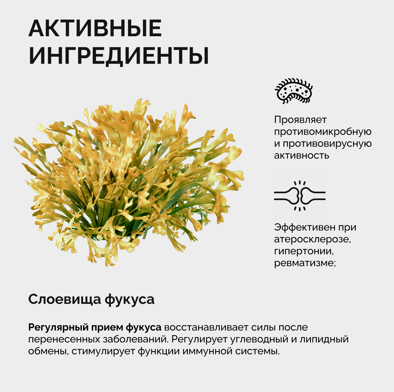 Изображение БАД Литораль Фукус, для иммунитета, укрепление организма, 90 капсул