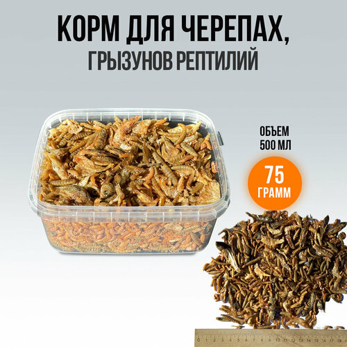 Корм для черепах грызунов птиц микс, сушеная рыбка, креветка, мучной червь, черная львинка, гаммарус