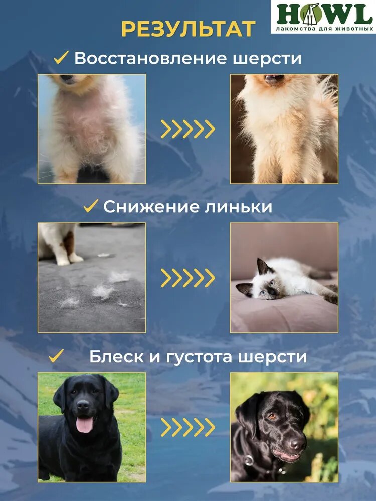Лососевое масло/ Витамины для собак и кошек/ Рыбий жир 750 мл/Натуральная пищевая добавка для собак и кошек HOWL — фото 1
