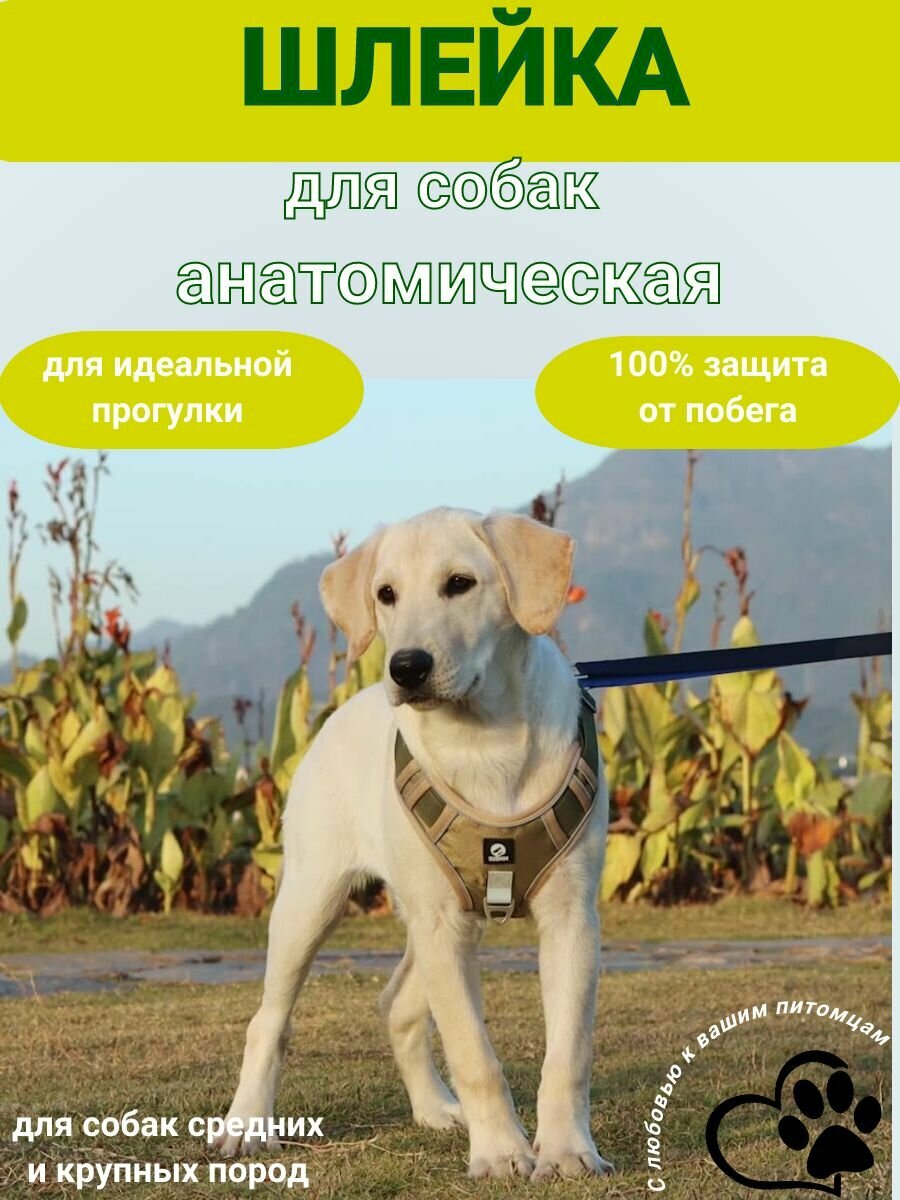 Картинки Шлейка для собак средних и крупных пород универсальная прогулочная тренировочная для дрессировки со светоотражателем жилет-трансформер черный размер S