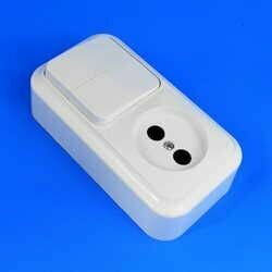 Блок: выключатель двухклавишный + розетка без заземления наружный Пралеска