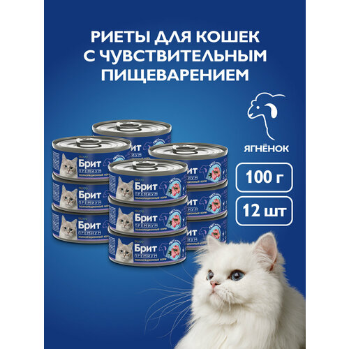 Влажный корм для кошек, риет из ягненка для кошек с чувствительным пищеварением, 100 г.12 шт, брит премиум,