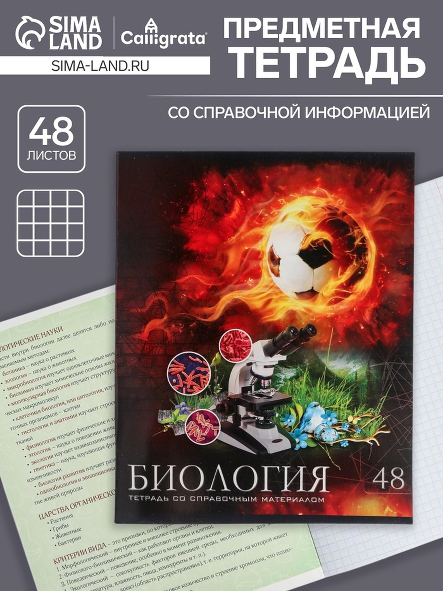 Тетрадь предметная 48 листов в клетку Calligrata, «Футбол. Биология», обложка мелованный картон