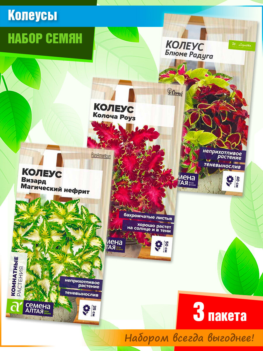Набор семян колеуса сорта 