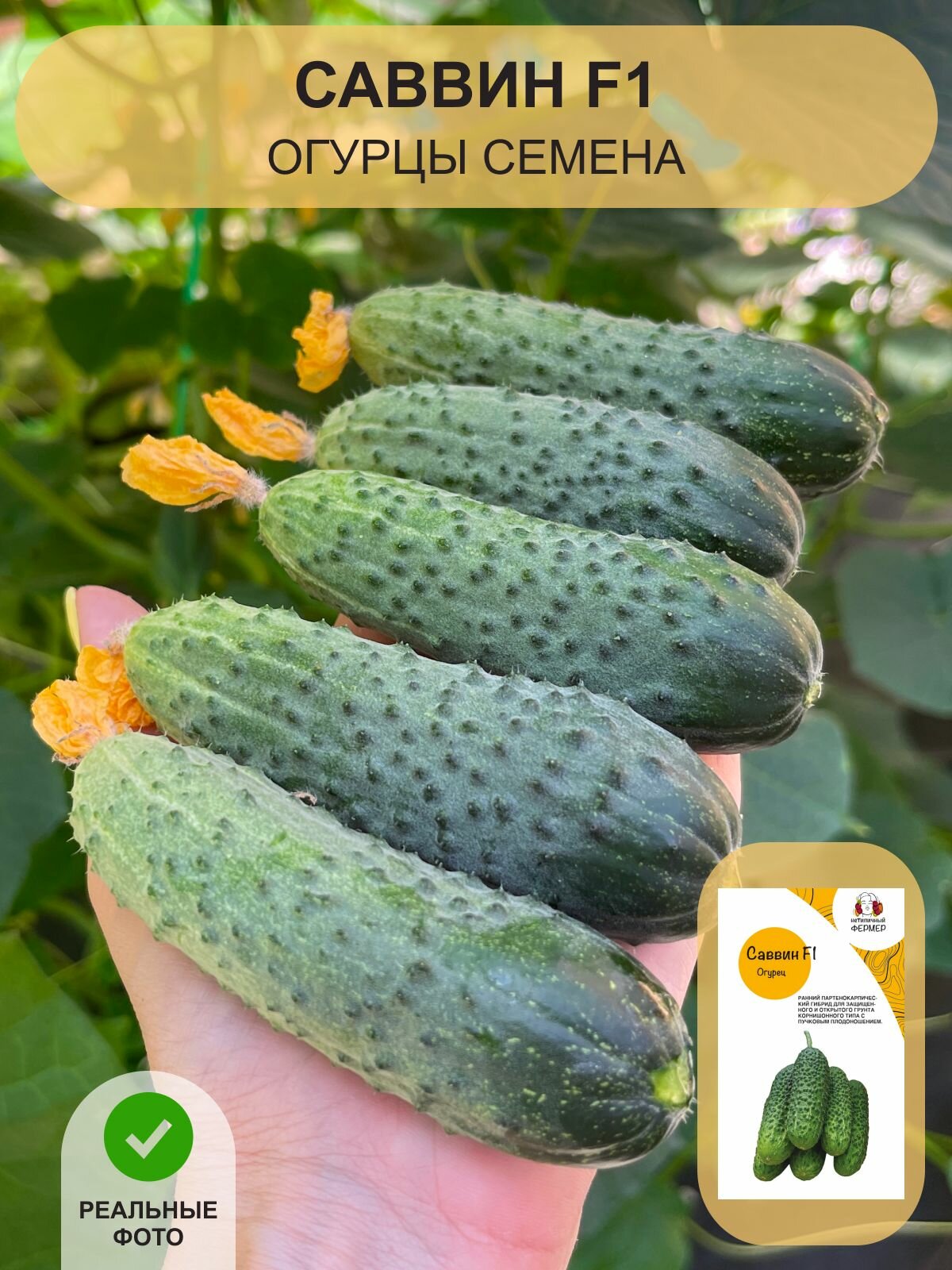 Семена огурцов Нетипичный фермер 