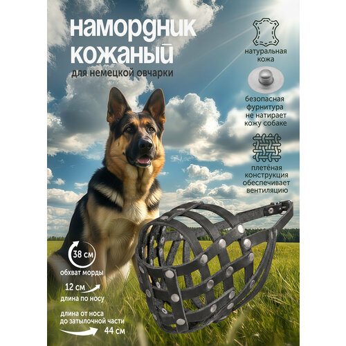 фото Намордник для немецкой овчарки кожаный zoomoda