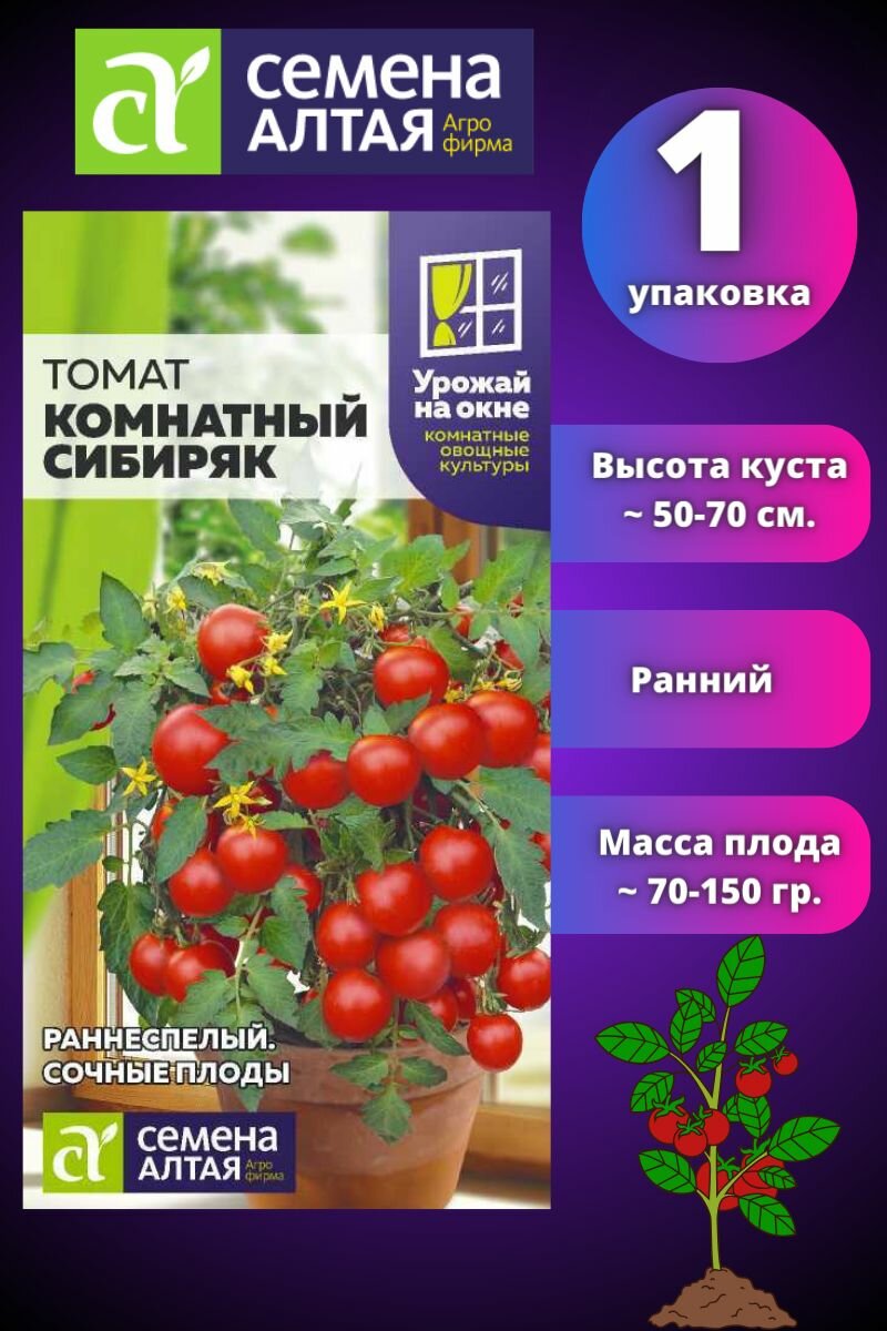 Томат Комнатный Сибиряк Черри 1 шт Семена Алтая на Окне