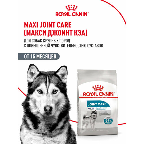 Корм сухой для взрослых собак крупных размеров Royal Canin Maxi Joint Care (Макси Джойнт Кэа) с повышенной чувствительностью суставов, 10кг