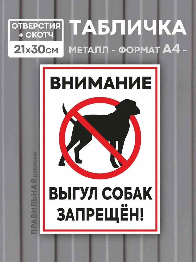 Табличка металлическая "Выгул собак запрещен" А4 (21х30 см) / Алюминий. (+Отверстия под саморезы и Скотч)