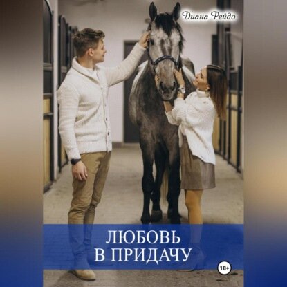 Любовь в придачу  Аудиокнига 