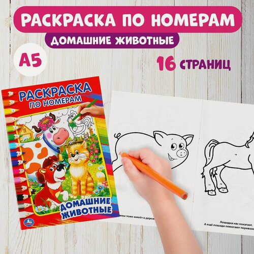 Изображение товара Умка. Домашние Животные. Дружинина (Раскраска По Номерам А5) Малый Формат.