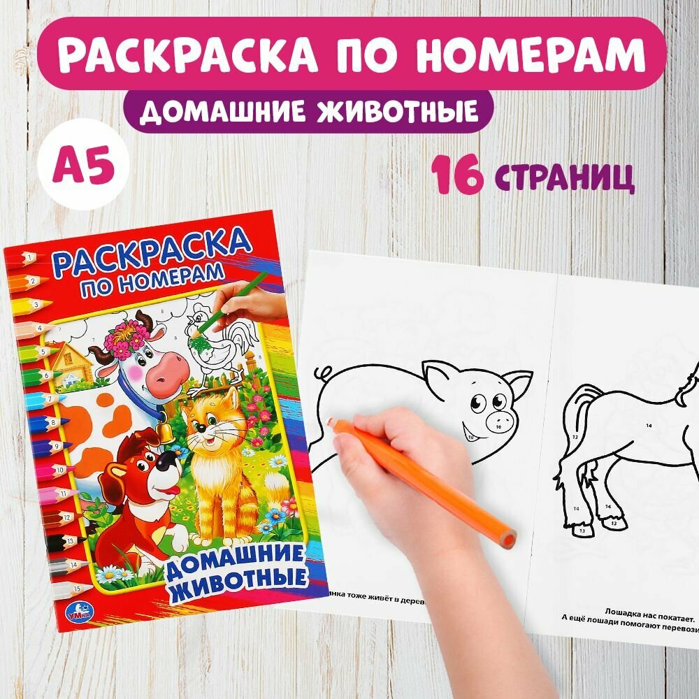 Умка. Домашние Животные. Дружинина (Раскраска По Номерам А5) Малый Формат.