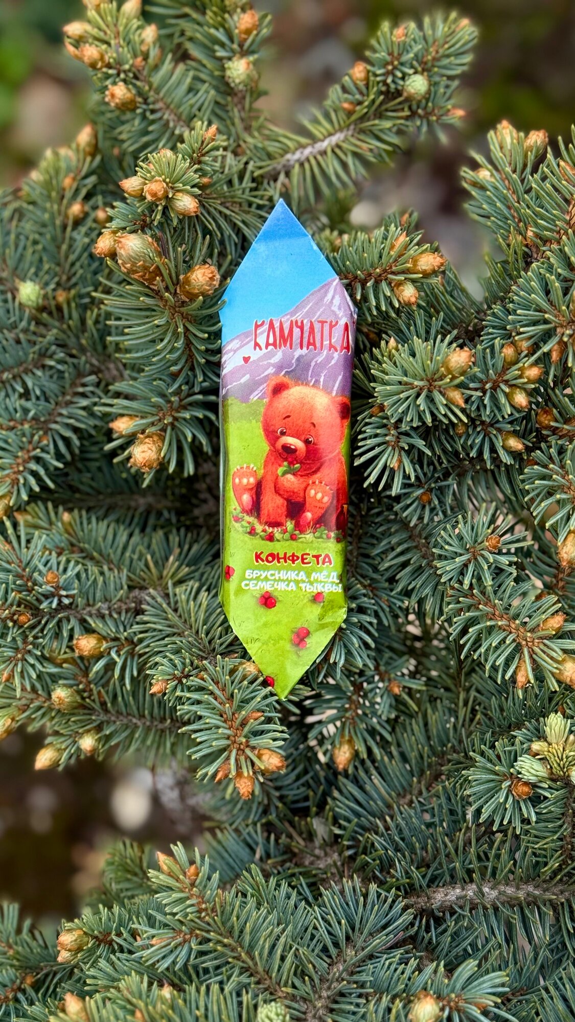 Конфета камчатка с брусникой и семечкой тыквы в молочном шоколаде  32 грамма  1 штука