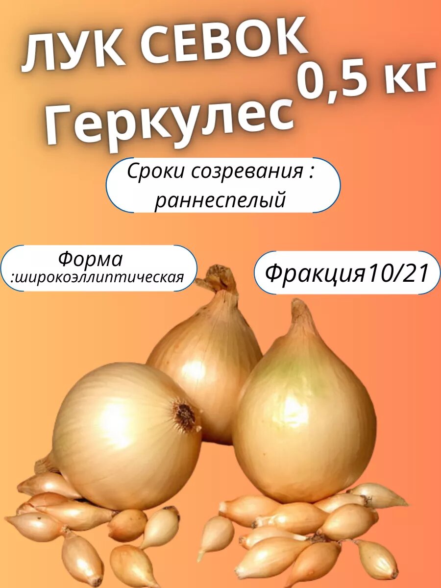 Лук севок Геркулес 0.5кг