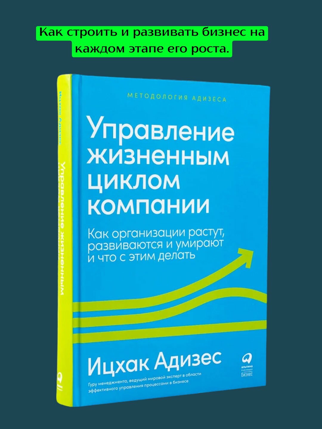 Управление жизненным циклом компании, Ицхак Адизес