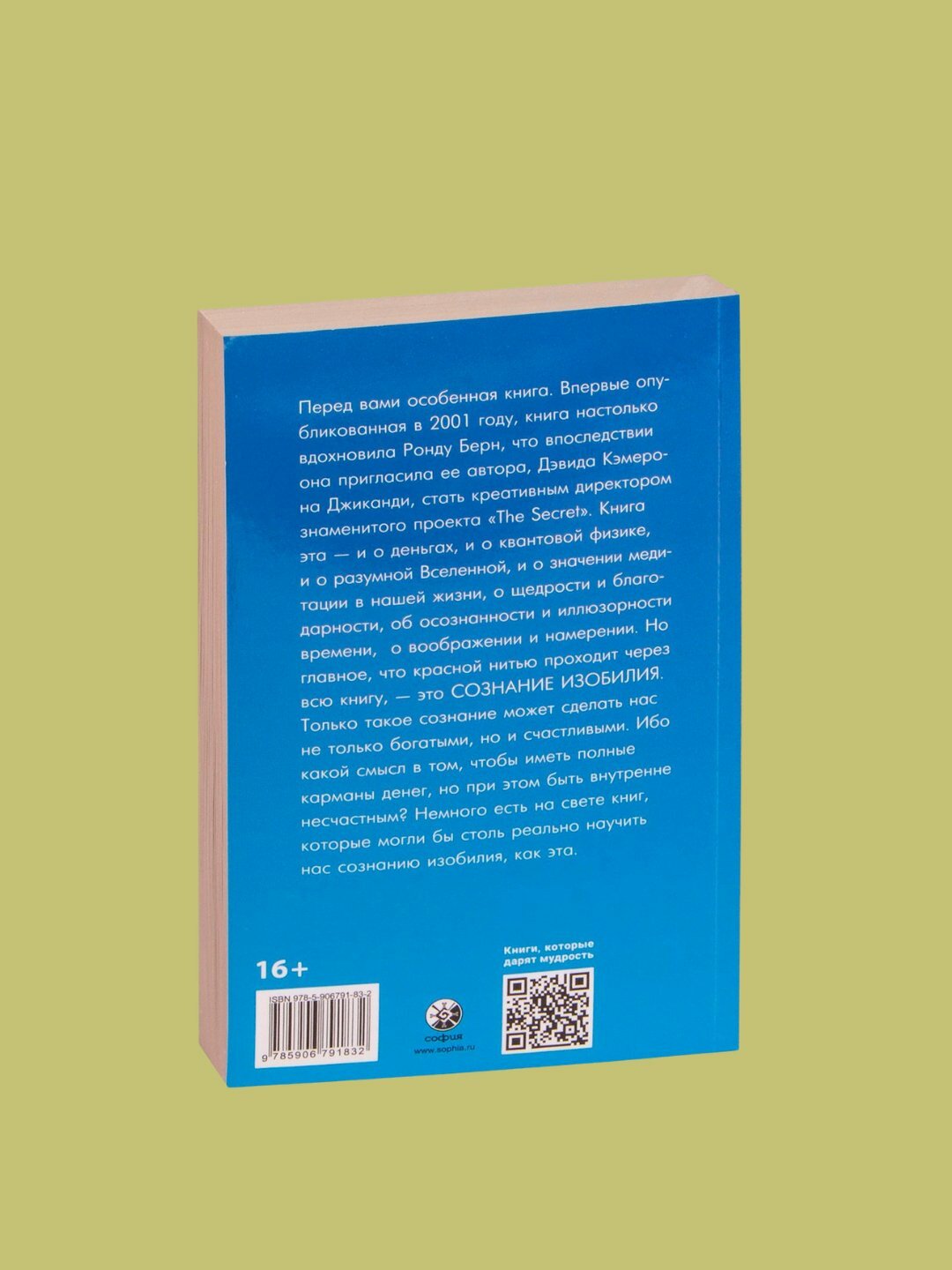 Счастливый карман, полный денег, Дэвид Кэмерон Джиканди — фото 1
