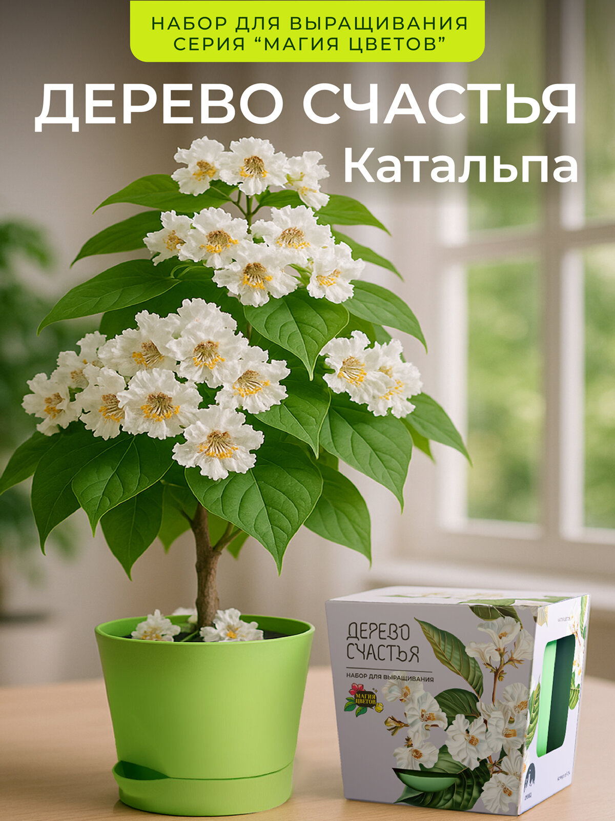 Дерево счастья Катальпа Набор для выращивания от бренда 