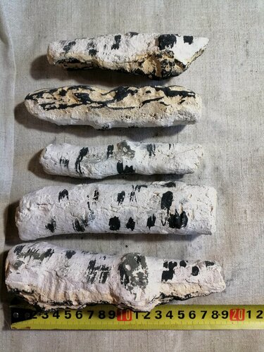 Изображение товара Дрова для биокамина берёза лофт, 5 шт, 15-20 см.