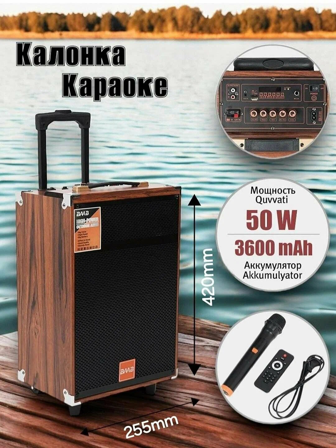 Портативная караоке-колонка BAAB, с микрофоном, Bluetooth, пульт