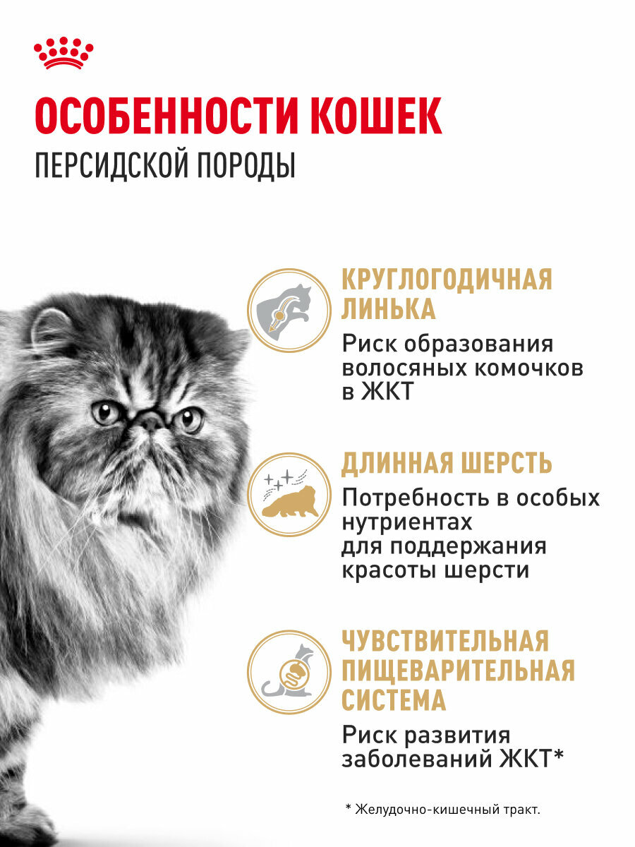 Сухой корм для кошек Royal Canin Adult для персидской породы, 0,4 кг — фото 1