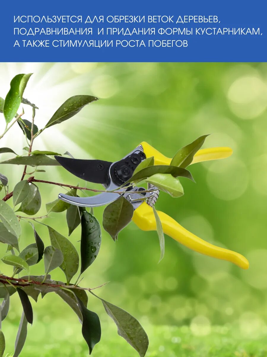 Секатор Inbloom, марганцевая сталь, возвратная пружина, фиксатор лезвий, тефлоновое покрытие — фото 1