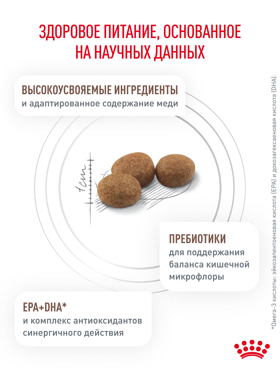 Сухой корм для кошек Royal Canin Hepatic при заболеваниях печени, 0,5 кг — фото 1