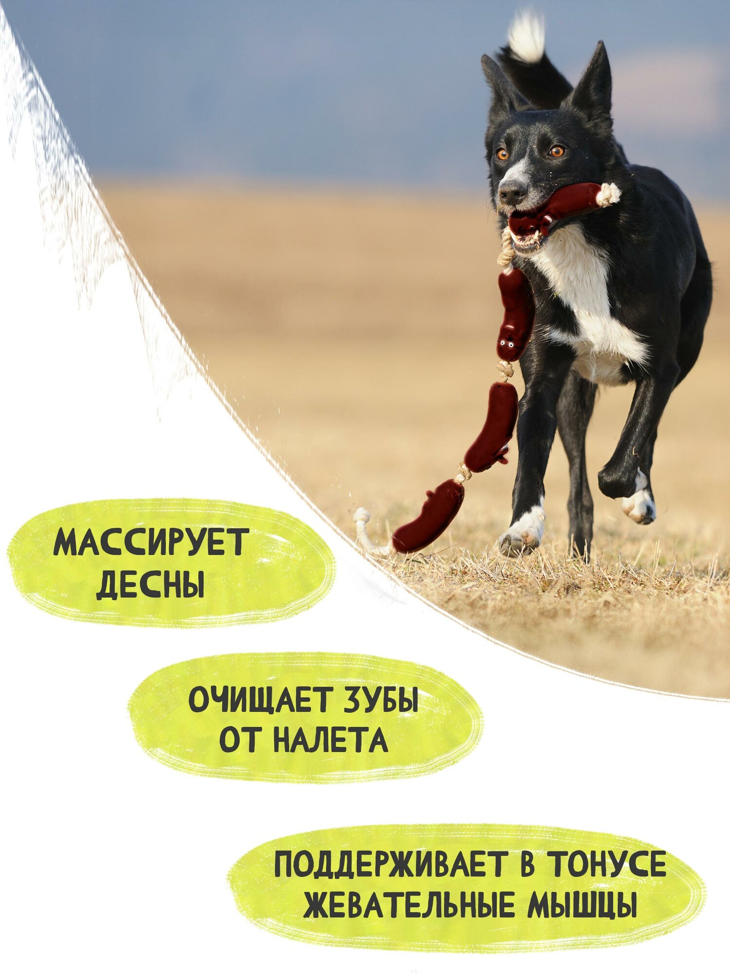 Изображение Игрушка для собак Triol "Четыре сосиски, веревка" 63 сантиметра