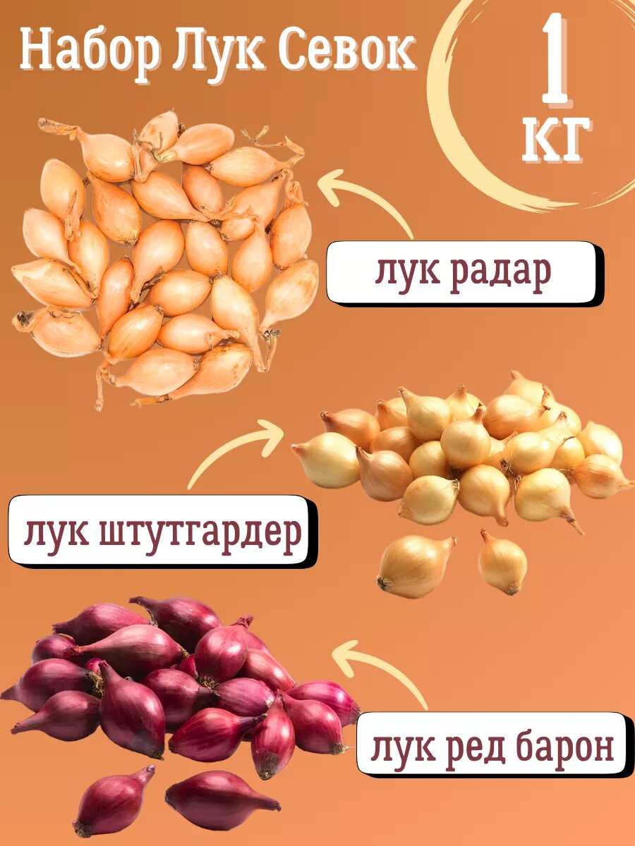 Набор Лук Севок 1 кг