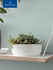 Кашпо 1000 мл, 17 см, It's my home Blossom like. by Villeroy & Bo...