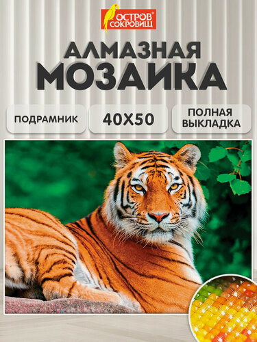 Изображение товара Картина стразами (алмазная мозаика) 40х50 см, Остров Сокровищ, Тигр, на подрамнике, 662427
