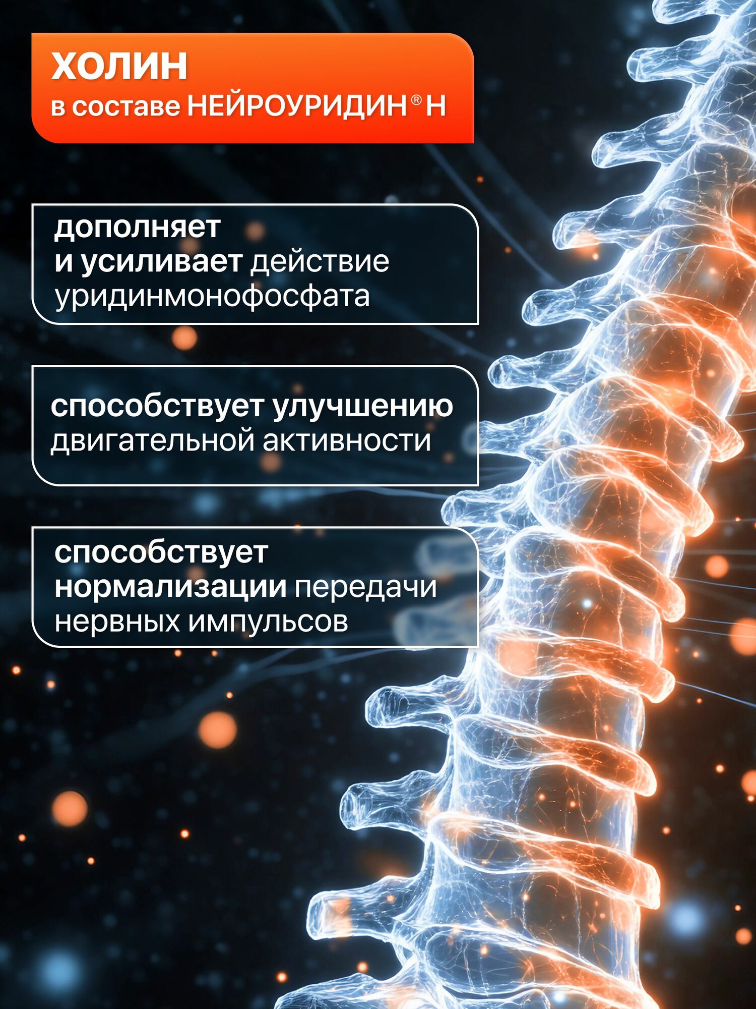 Нейроуридин Н нейропротектор. Уридинмонофосфат и холин для снижения болевого синдрома в позвоночнике и восстановления поврежденных нервных волокон. 20 капсул — фото 1