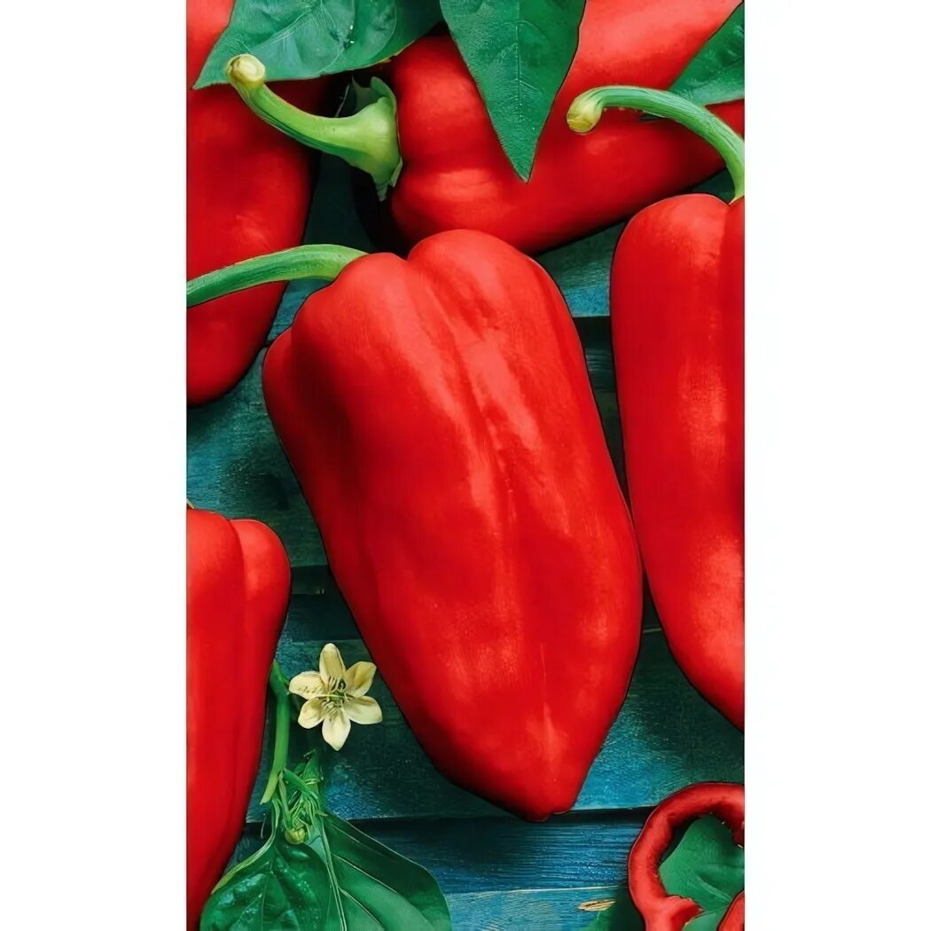 Семена перца сладкого 'Казачок' высокоурожайный 100-130г для открытого грунта