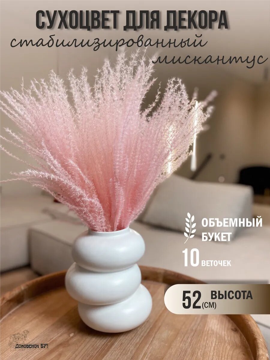 Сухоцвет для декора пампасная трава мискантус