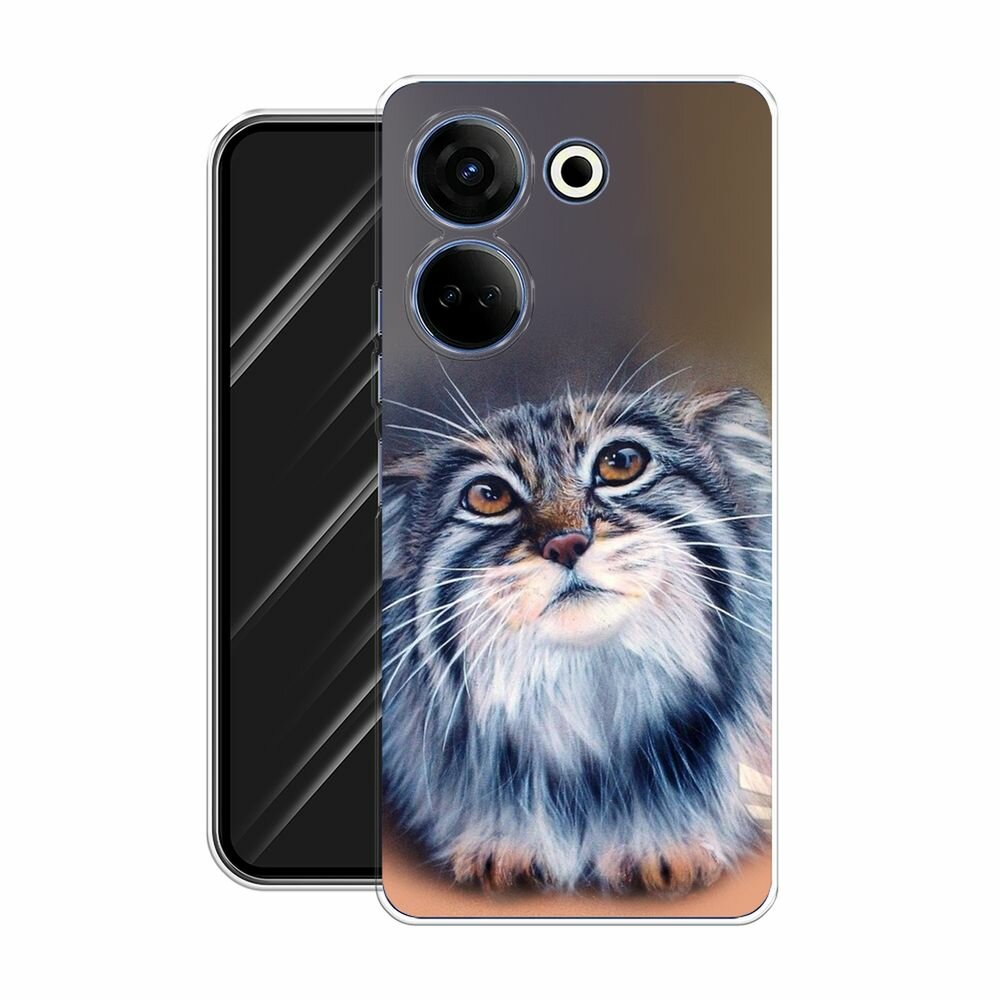 Чехол на Tecno Camon 20/20 Pro 4G / Текно Камон 20/20 Pro 4G с принтом "Кот манул 2" — фото 1