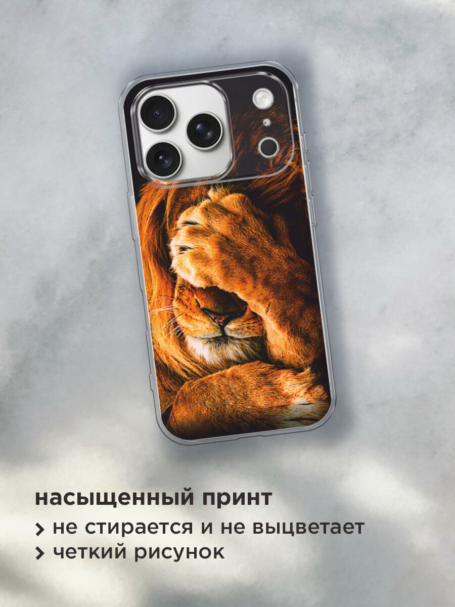 Чехол на Apple iPhone 17 Pro / Айфон 17 Про с принтом Львиный стыд — фото 1