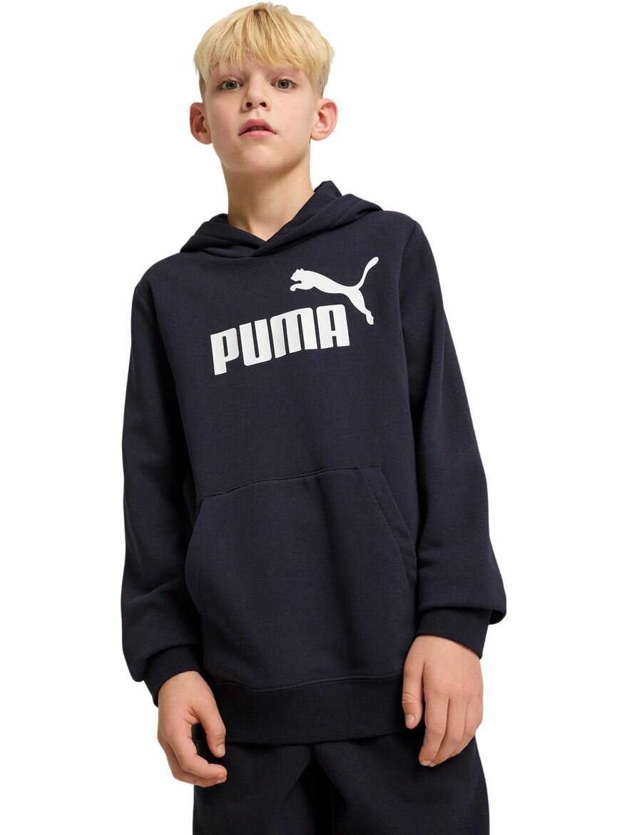 Худи ESS No. 1 Logo Hoodie TR B