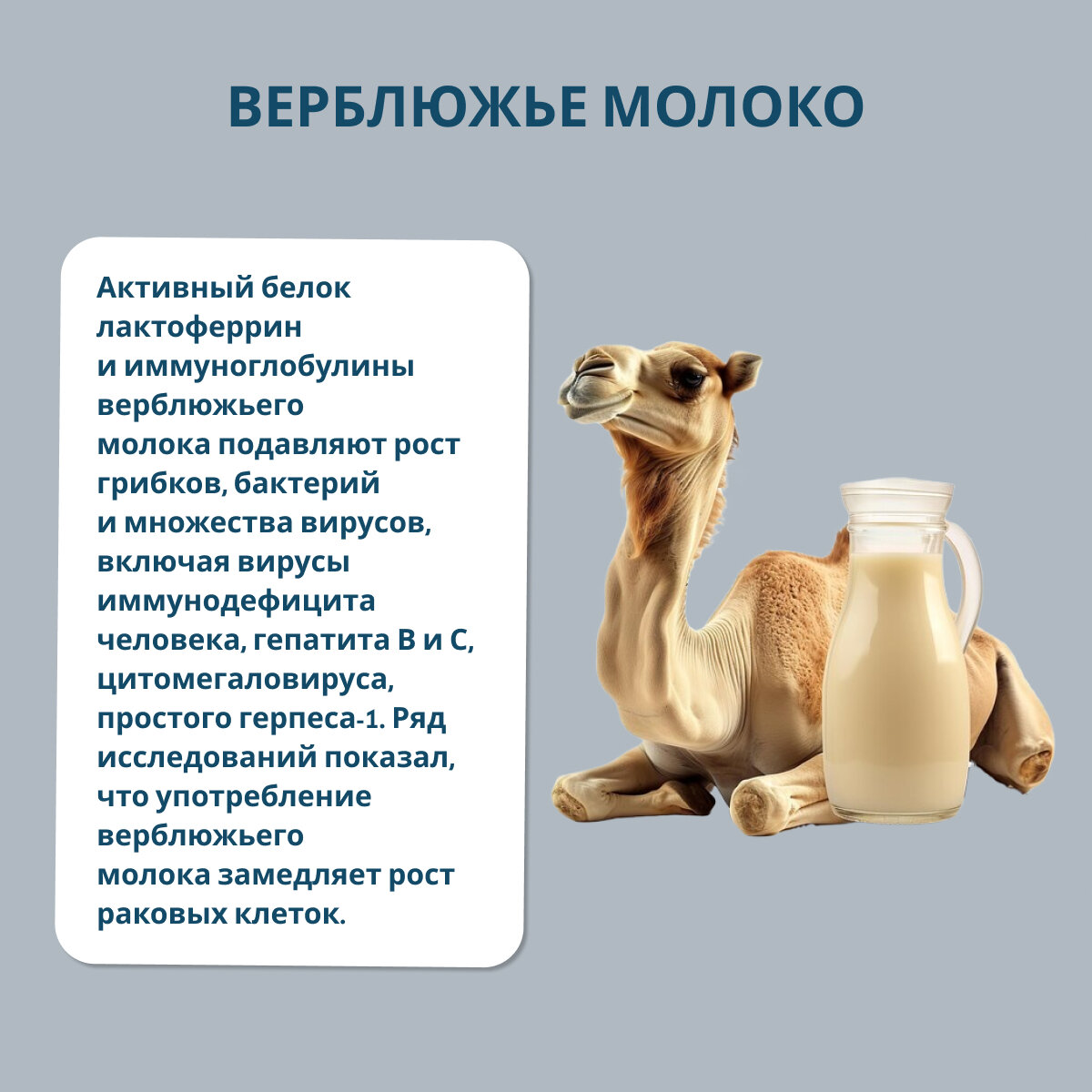 Иммуномодуляторы При Онкологии СAMEL PROFI MILK Натуральное верблюжье молоко сухое в капсулах/Природный иммуномодулятор