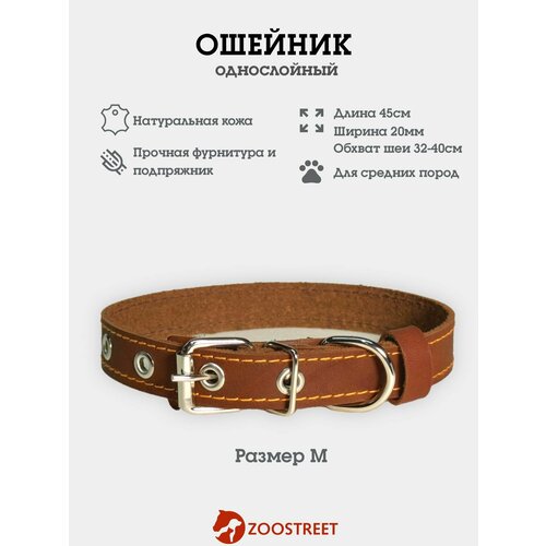 Ошейник для собак мелких пород кожаный, однослойный, 20мм, 45см, с подпряжником M