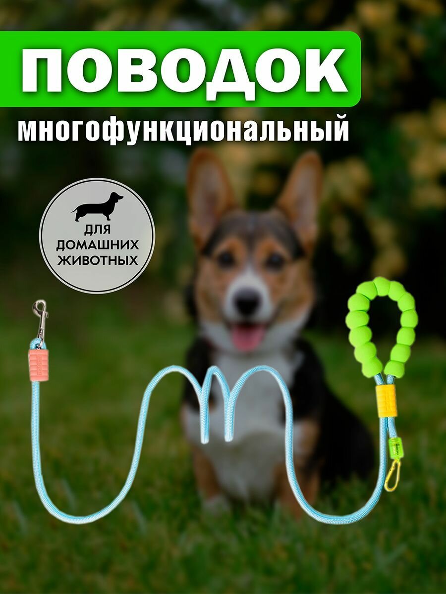 Поводок