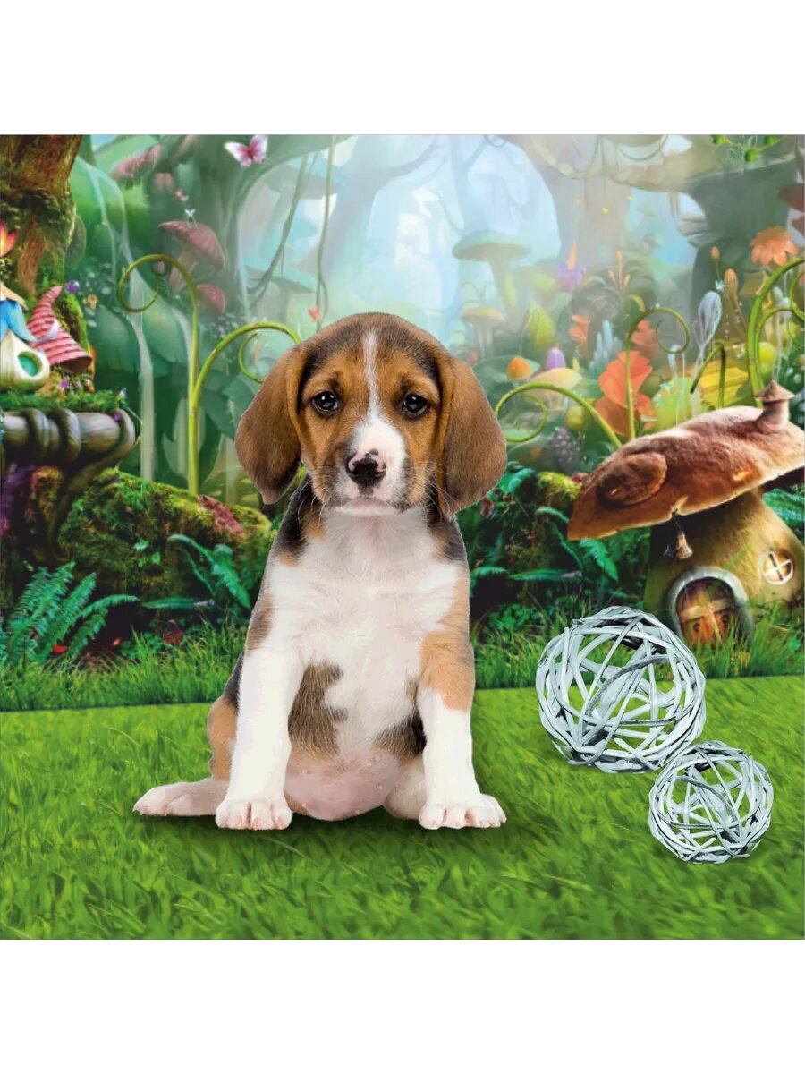 Фотофон для предметной съемки — фото 1