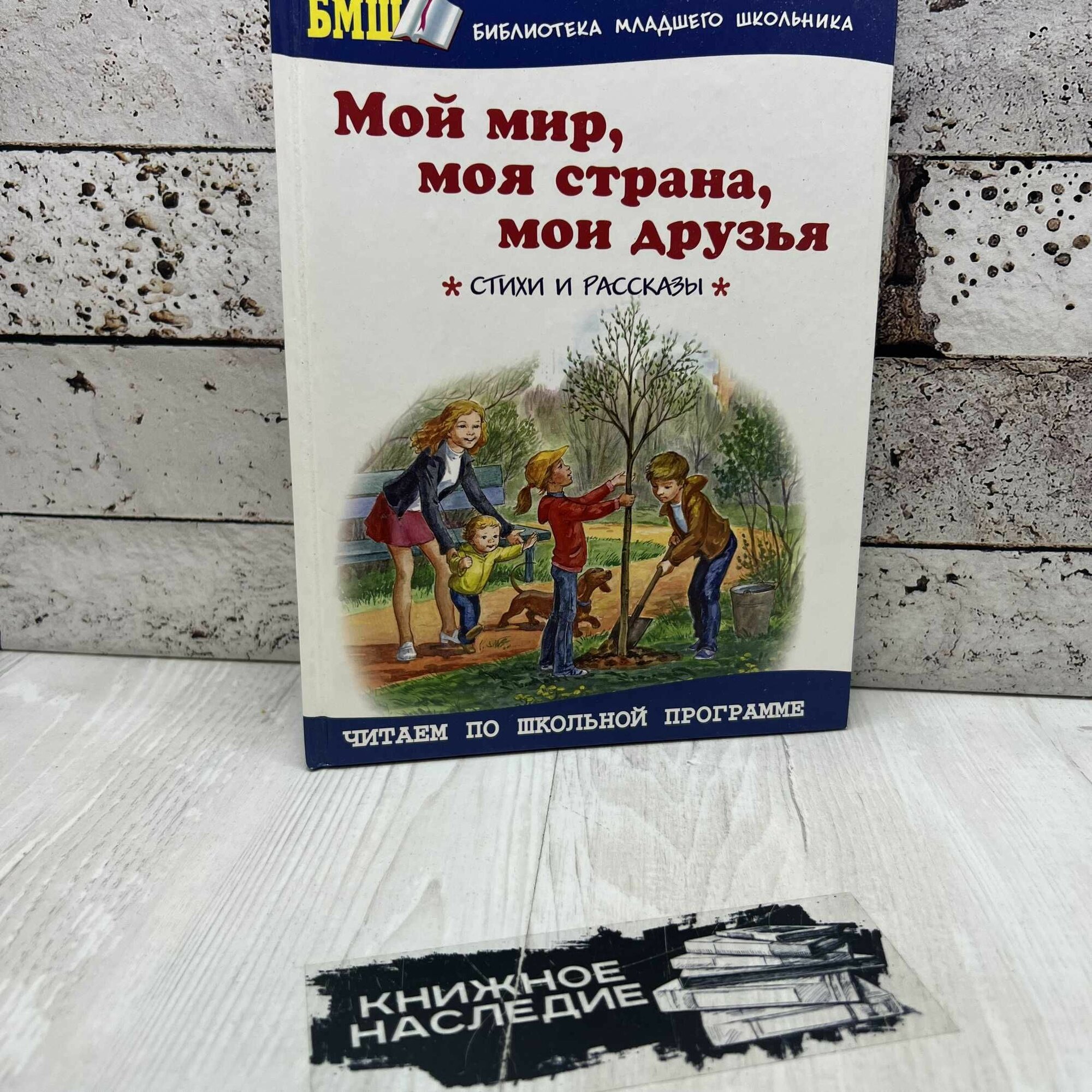 Мой мир  моя страна  мои друзья Оникс 2010г 