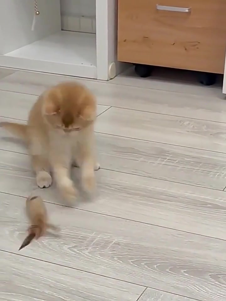 Игрушка для кошек мячик, погремушка из сизаля для активных игр — фото 1